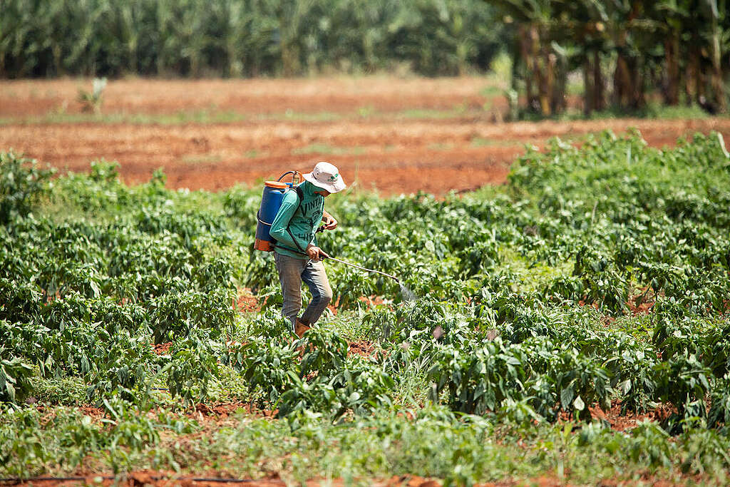 Expedition Vale do Jaguaribe, in Ceará, Brazil. © Nilmar Lage / Greenpeace Expedition Vale do Jaguaribe, in Ceará, Brazil. © Nilmar Lage / Greenpeace