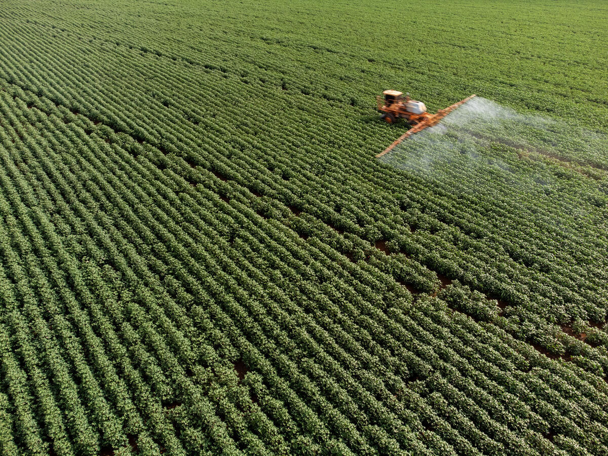 Cerrado Expedition in Brazil - Pesticides on Soy Field. © Caio Paganotti
