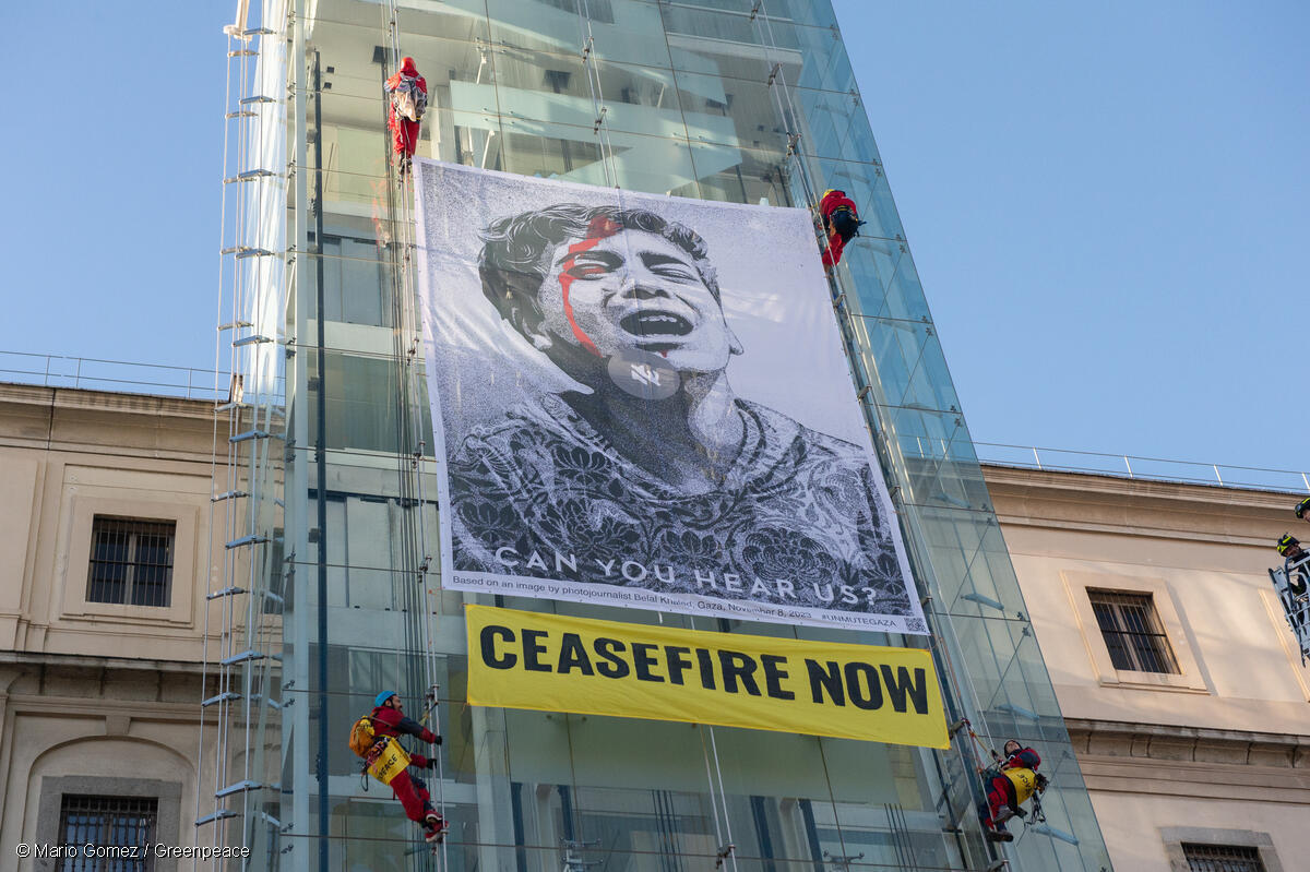 Greenpeace apela à comunidade internacional pela libertação do navio de ajuda humanitária Madleen e de sua tripulação