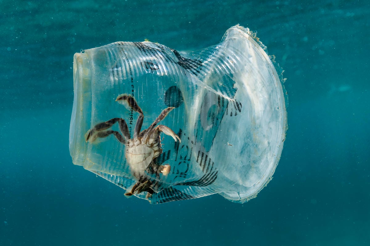 Let’s end the age of plastic!